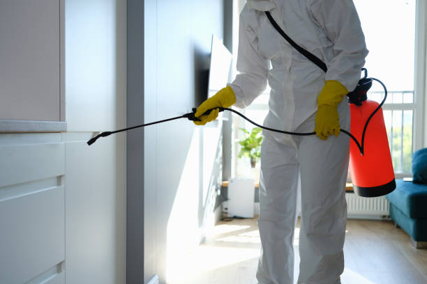 Best Emergency Mold Removal  in Fincastle, TN