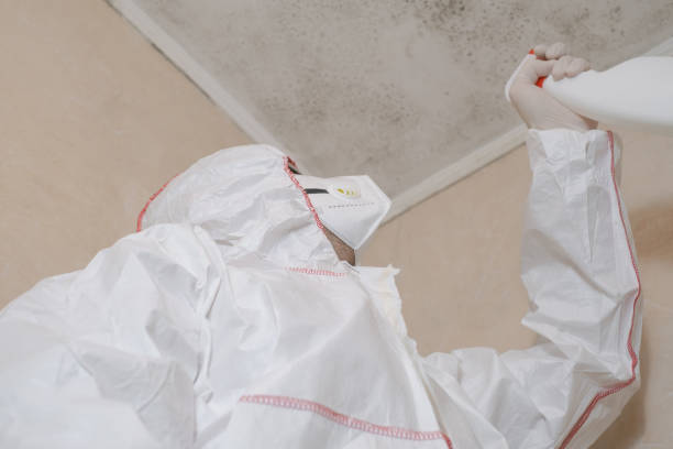 Best Affordable Mold Removal  in Fincastle, TN