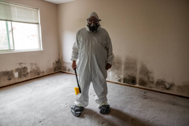 Best Professional Mold Removal  in Fincastle, TN